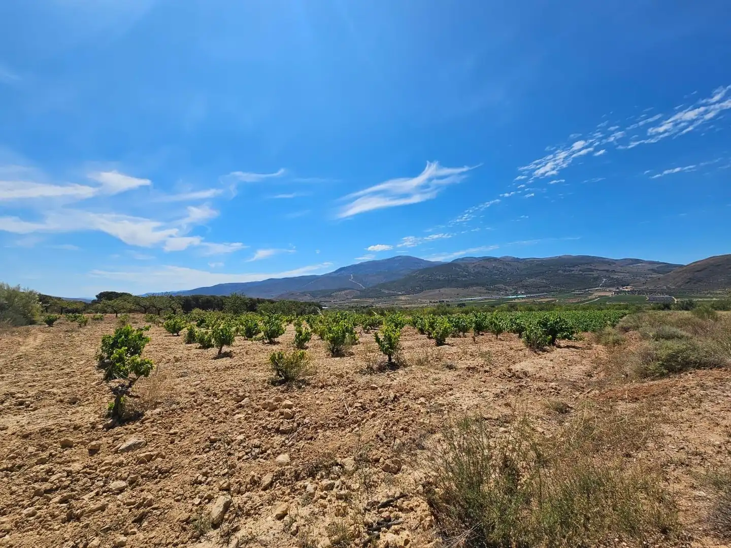 Finca rústica en venta en Laujar de Andarax