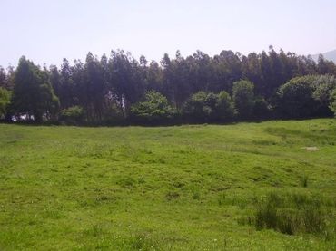 Terreno residenziale in vendita a Candamo