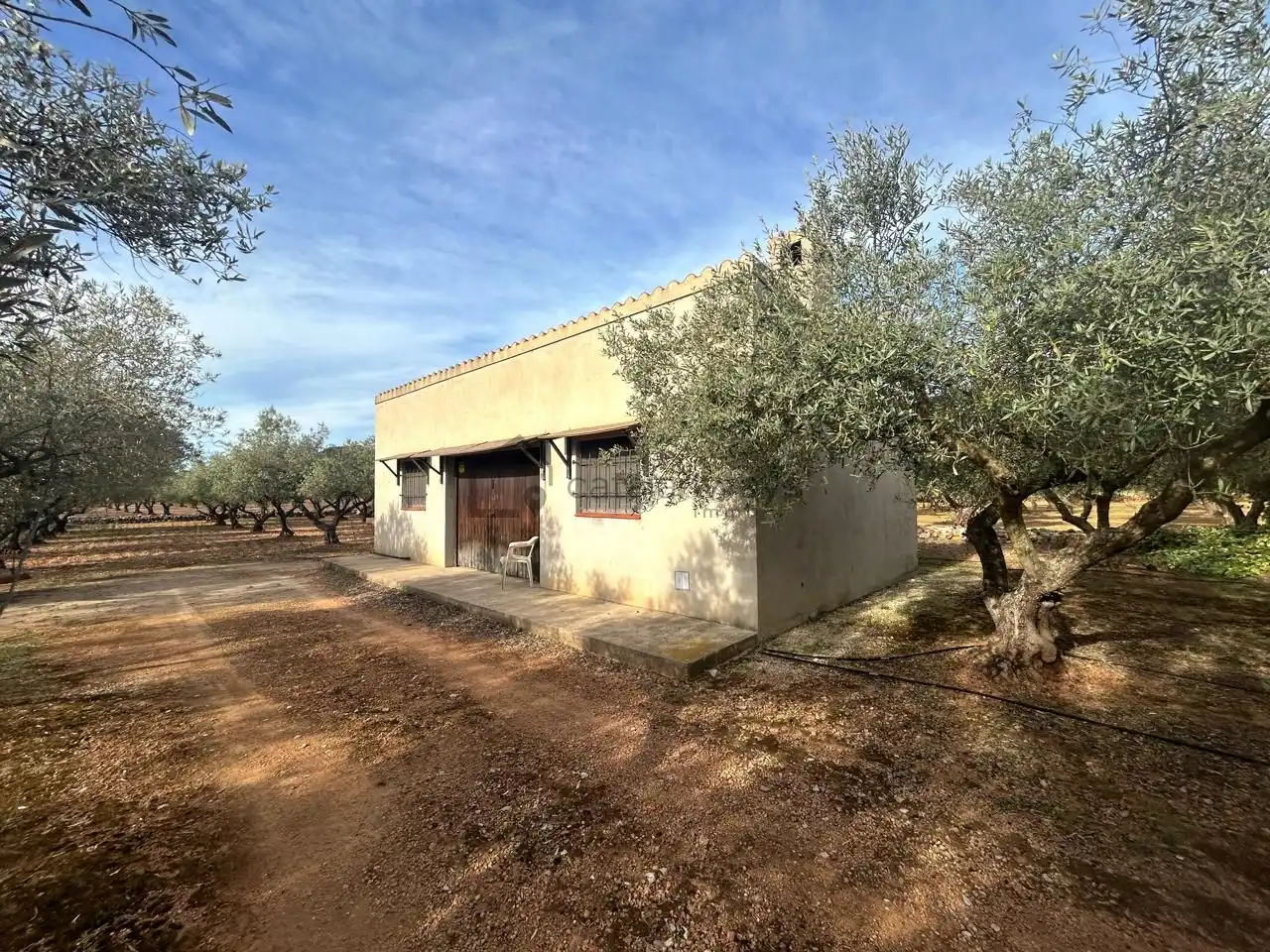 Vista exterior de Finca rústica en venda en Freginals