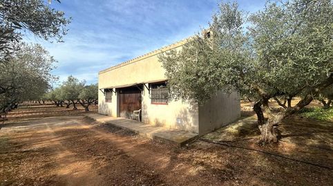 Finca Montsia Rustica a Freginals