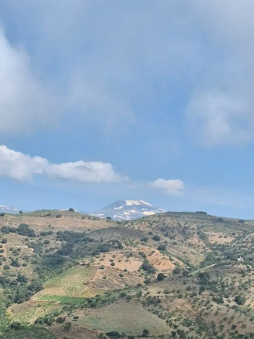 Rural land for sale in Belicena, imagen 17