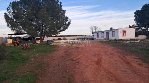 Foto 3 de Finca rústica en venda a Carmona, Sevilla