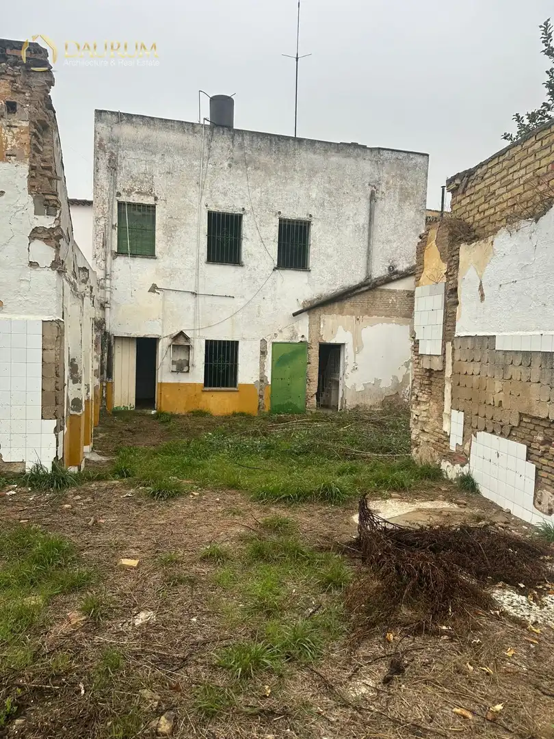 Vista exterior de Casa o chalet en venta en Bormujos con Terraza, Piscina y Piscina comunitaria