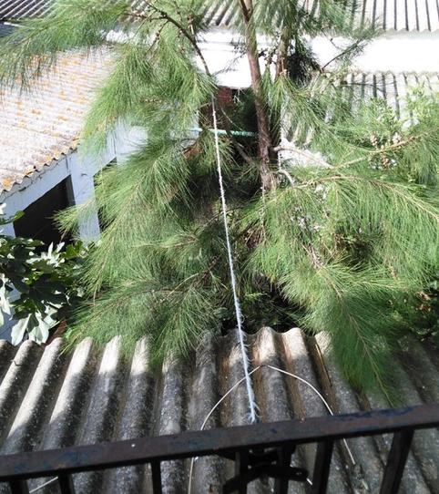 Foto 2 de Casa o xalet en venda a Torre Cruz - Los Molinos, Sevilla