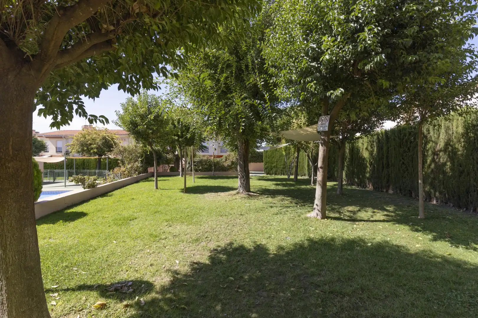 Appartement avec terrasse à vendre à Avenida Casa Grande 18, imagen 2