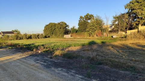 Foto 3 de Residencial en venta en Camino Brazal de la Mota, Alquerías, Murcia