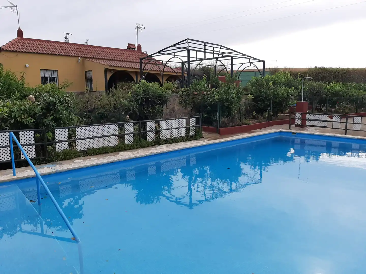 Chalet con piscina en venta en Cantillana 50B