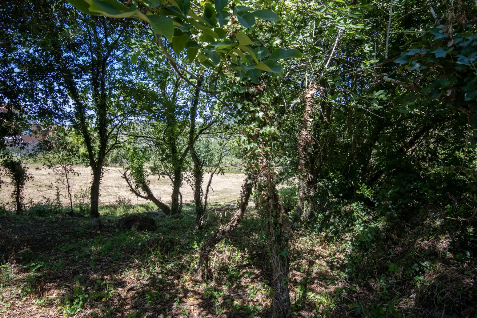 Terreno en venta en Villaviciosa