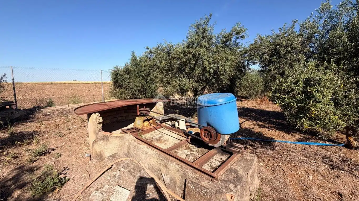 Terreno en venta en Paraje los los llanos, La Lantejuela