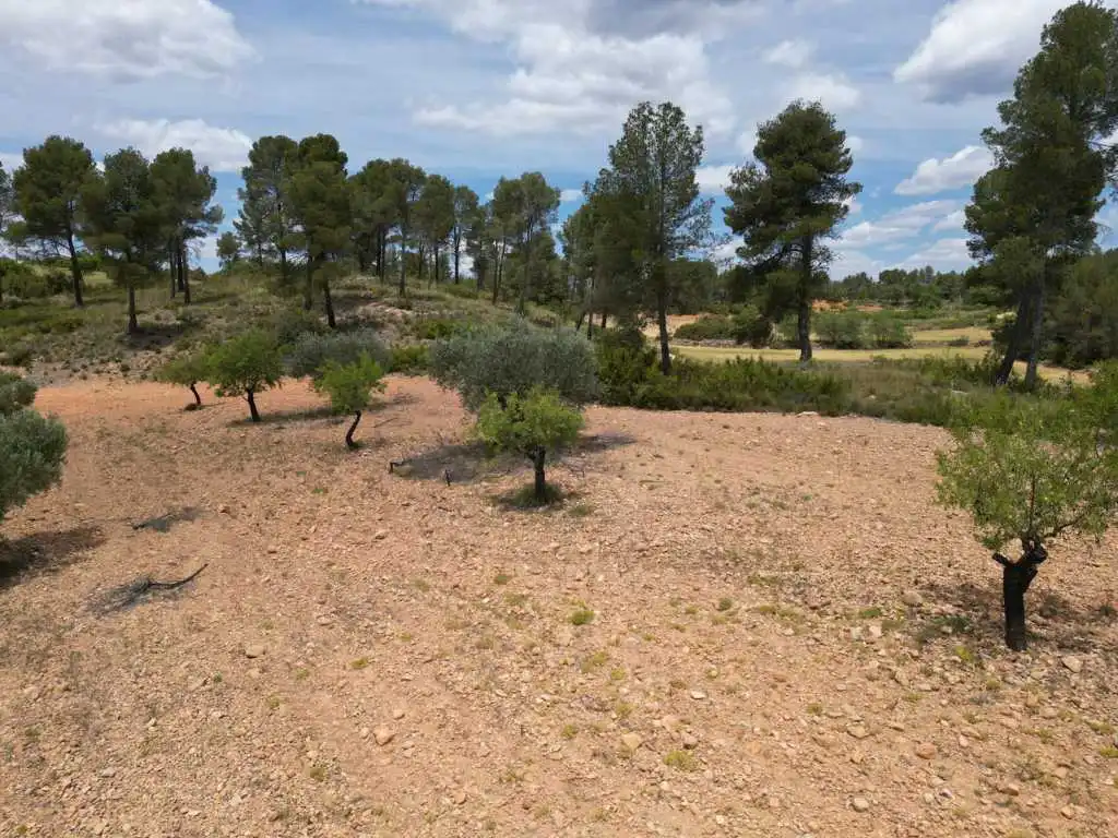 Residential for sale in Vallejo De La Tia Casta, Mira
