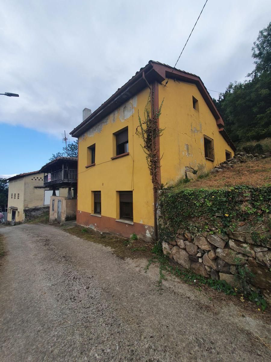 Exterior view of House or chalet for sale in Candamo  with Storage room