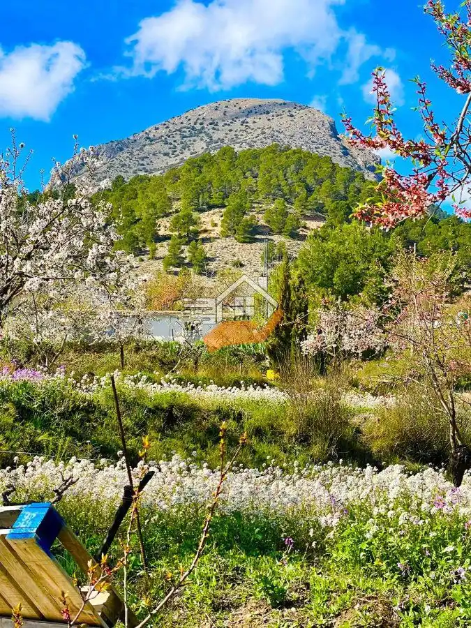 Jardí de Residencial en venda en Vélez-Blanco