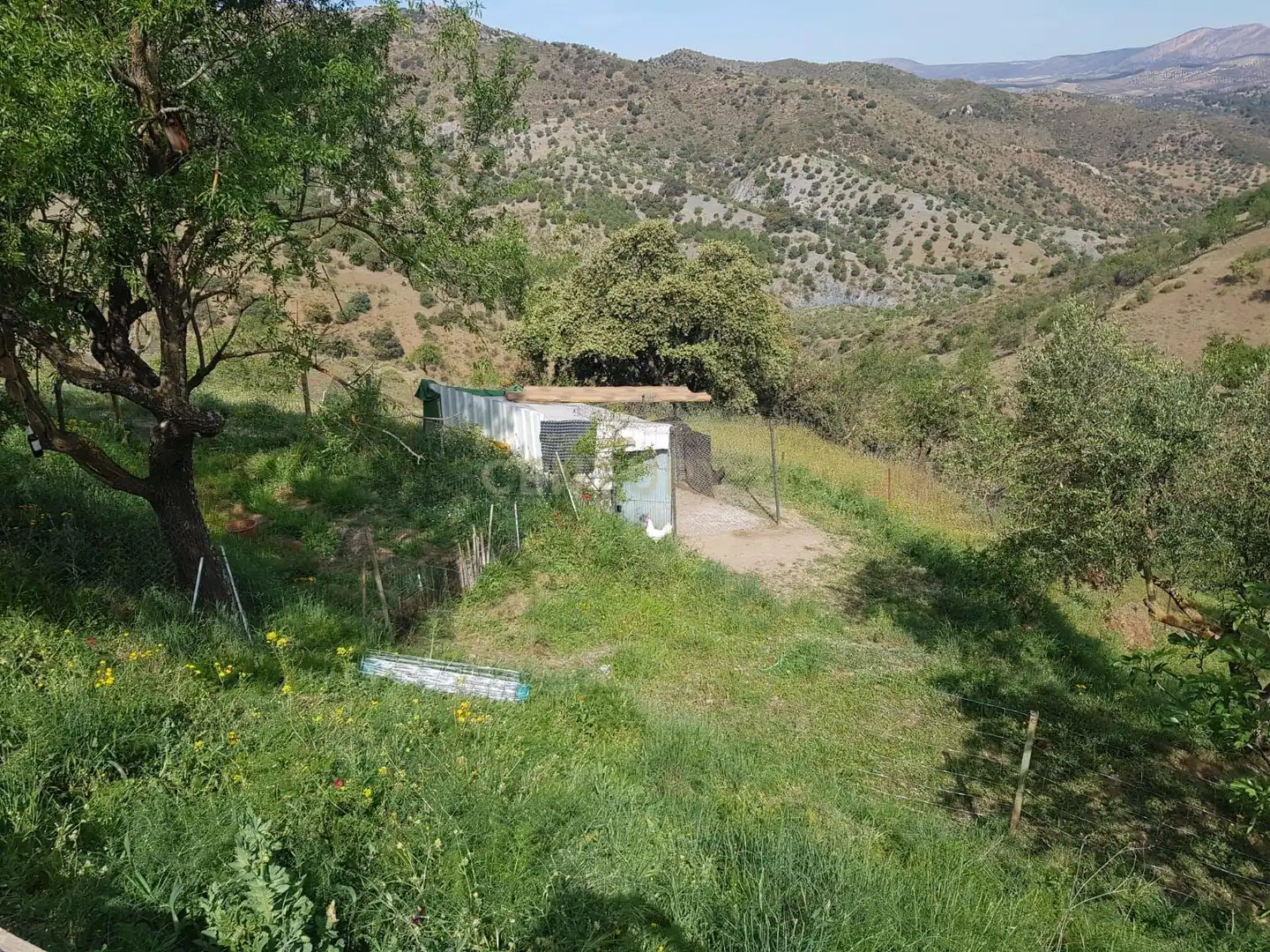 Terreni e lotti in vendita a Ardales, imagen 26