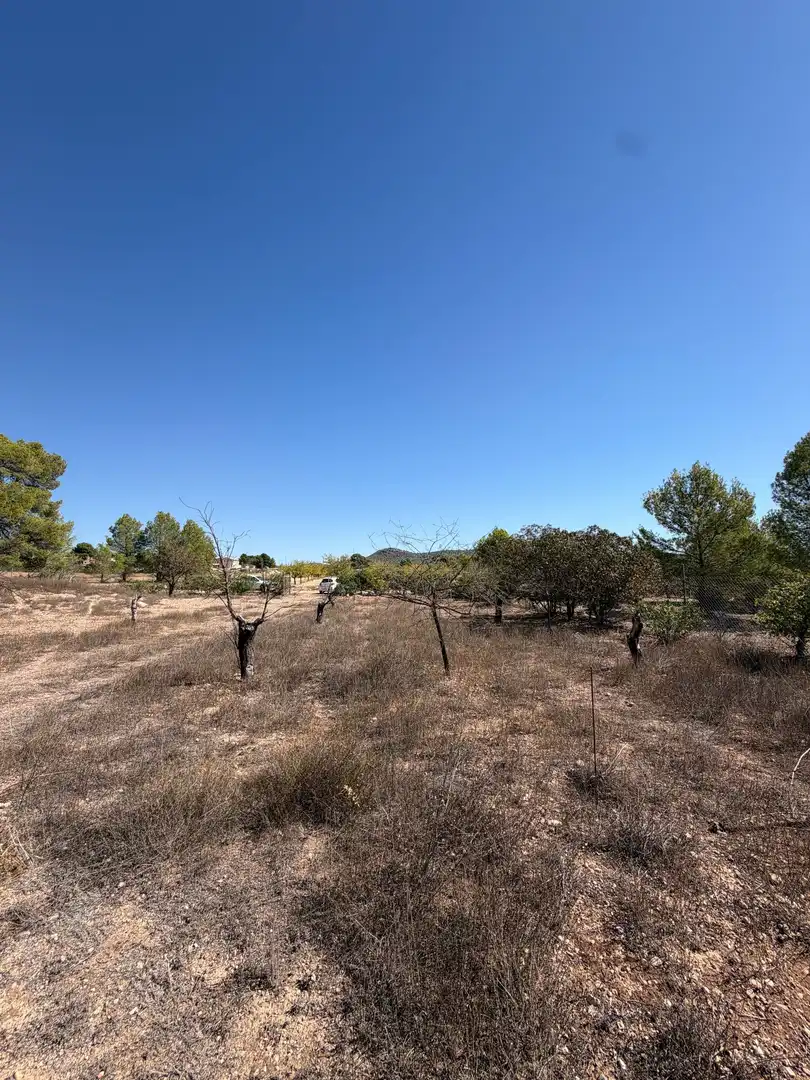 Casa rústica con jardín en venta en Monóvar  / Monòver, imagen 4