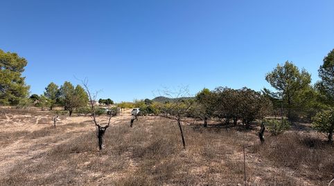 Foto 4 de Finca rústica en venda a Monóvar / Monòver, Alicante