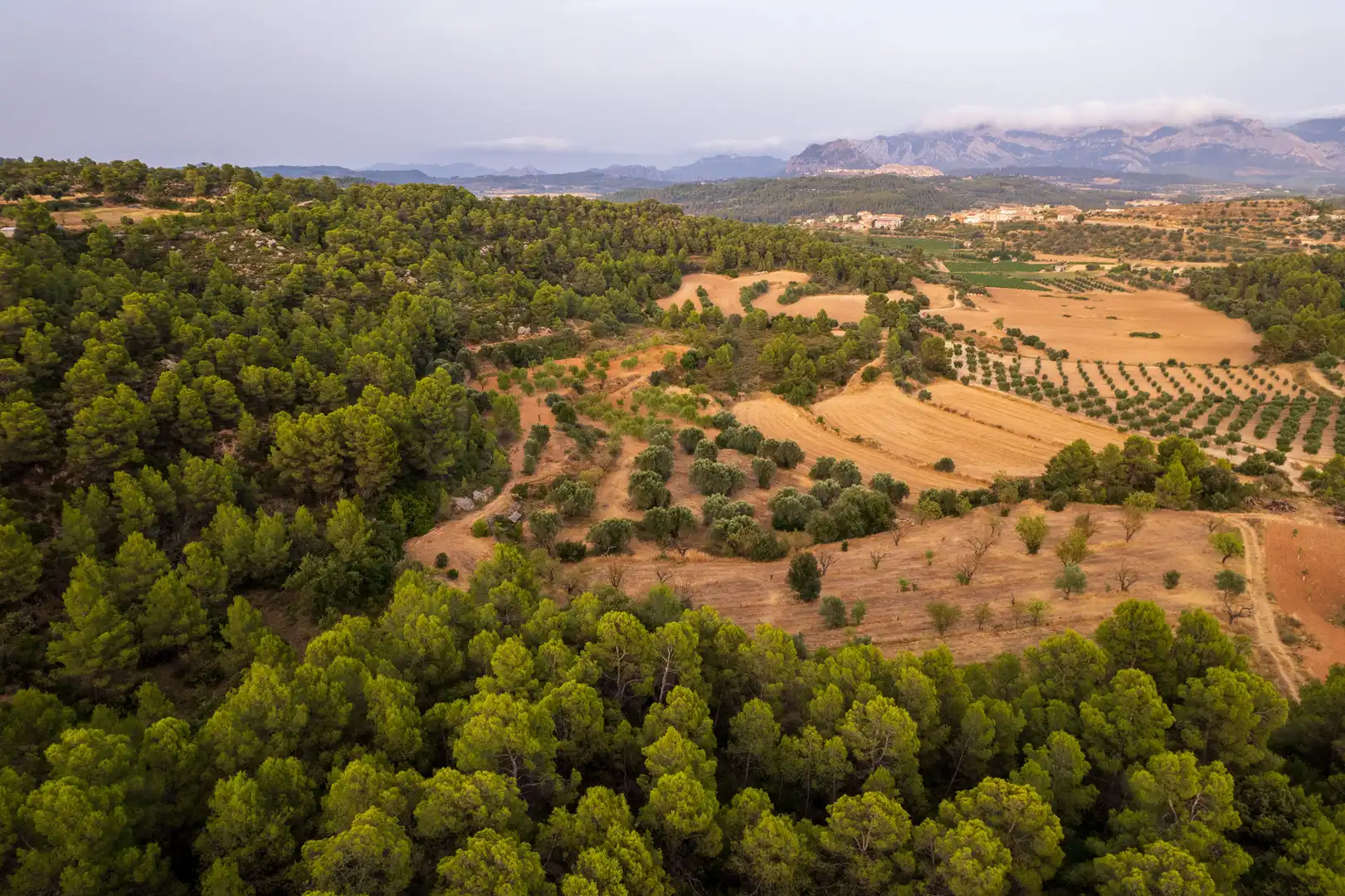 Terreni e lotti in vendita a Lledó, imagen 4