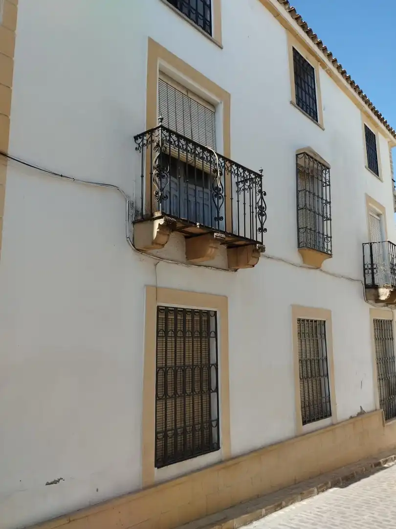Vista exterior de Casa o xalet en venda en Porcuna amb Calefacció, Jardí privat i Terrassa
