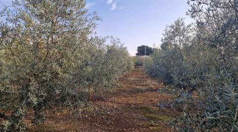 Foto 3 de Casa o xalet en venda a Humilladero, Málaga