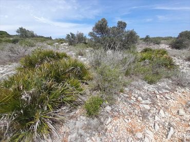 Terreni e lotti in vendita a LAS ATALAYAS, PARTIDA MONCHELLS