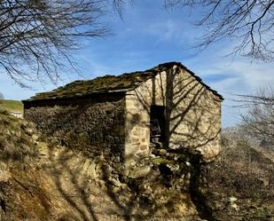 Vista exterior de Casa o xalet en venda en San Roque de Riomiera