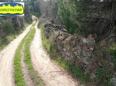 Terreny rústic en venda a Sotillo de la Adrada