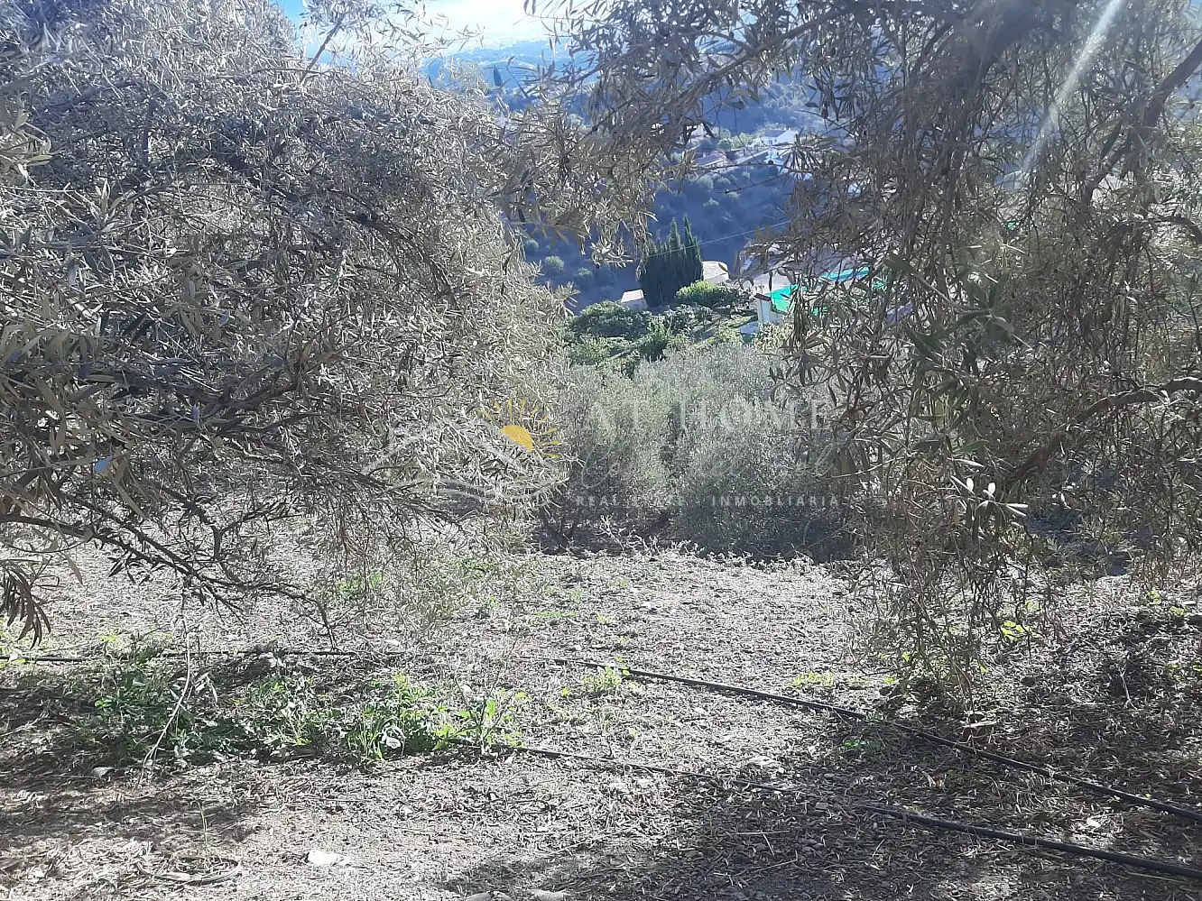 Terreni e lotti in vendita a Torrox Pueblo, imagen 15