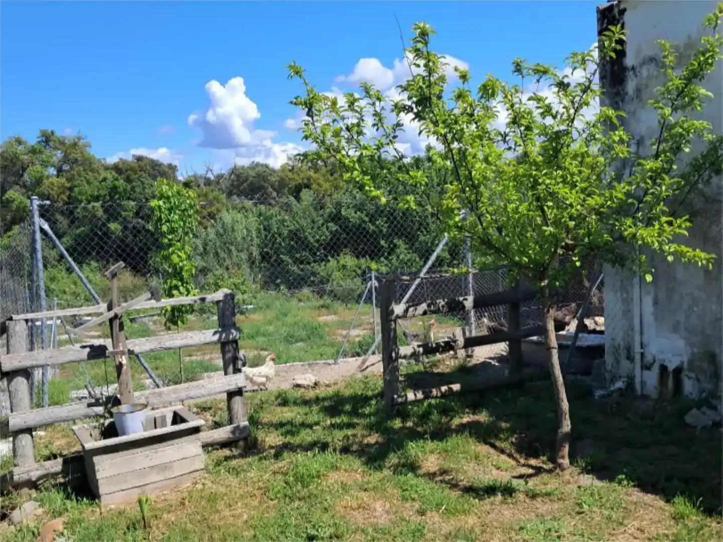 Pis en venda en Navalmoral de la Mata amb Aire condicionat, Jardí privat i Traster