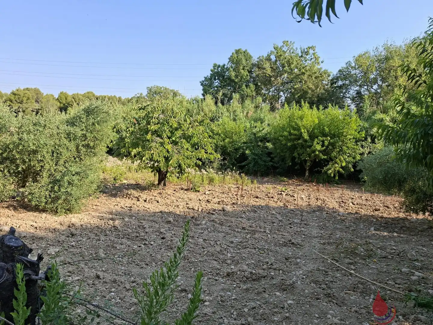 Terrenys i solars en venda a L'Arboç, imagen 7