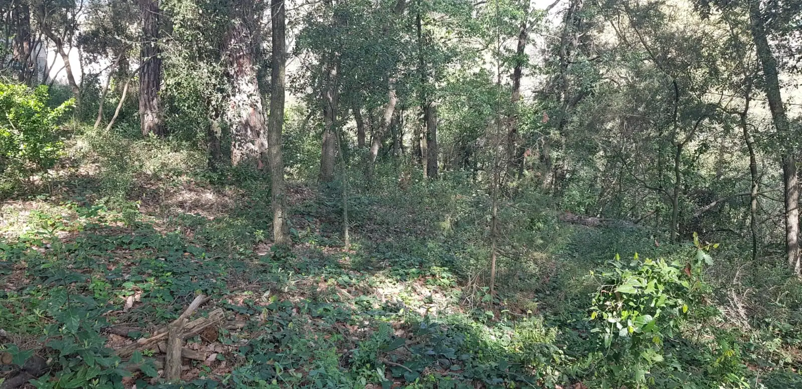 Wohnbaugrundstück zum Verkauf in Riells i Viabrea, imagen 16