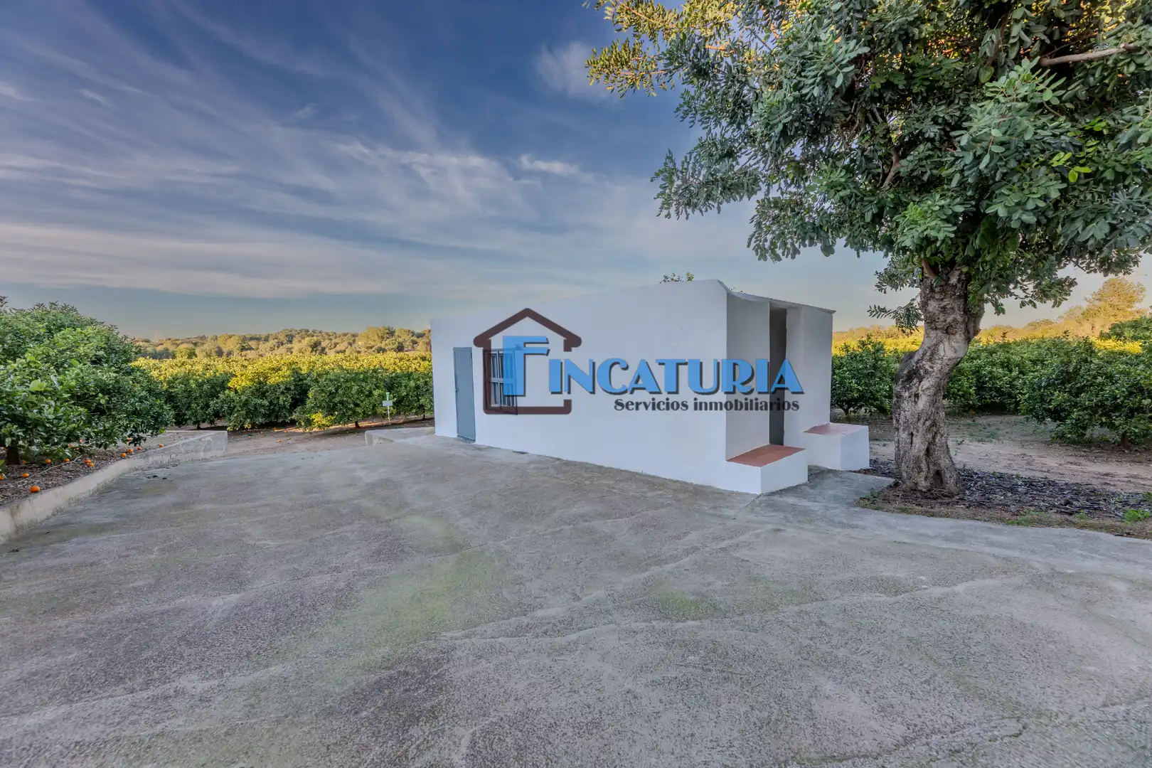Vista exterior de Finca rústica en venta en Manises con Jardín privado y Terraza