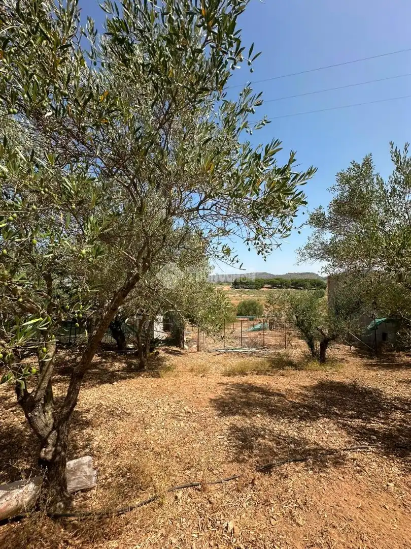 Casa rústica en venda a Arcos de la Frontera, imagen 13