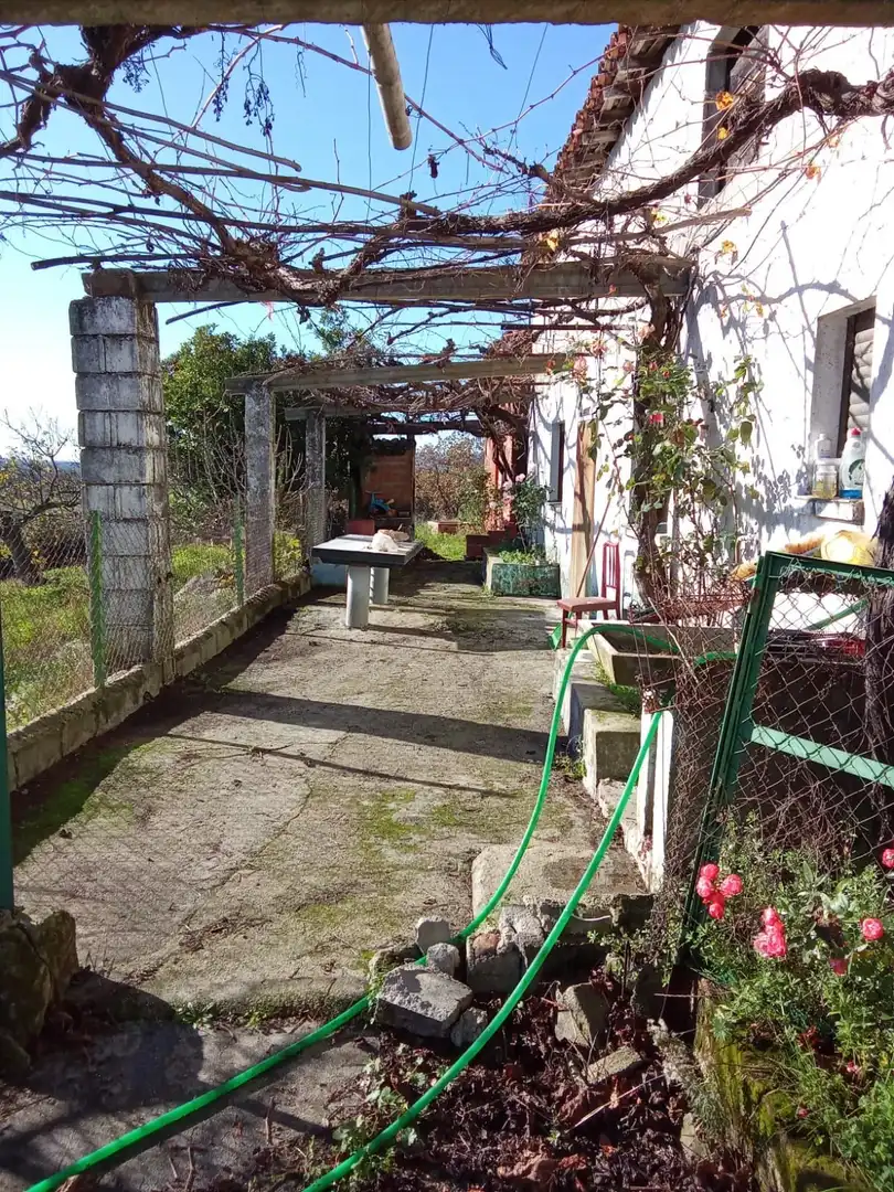 Garden of Land for sale in Losar de la Vera