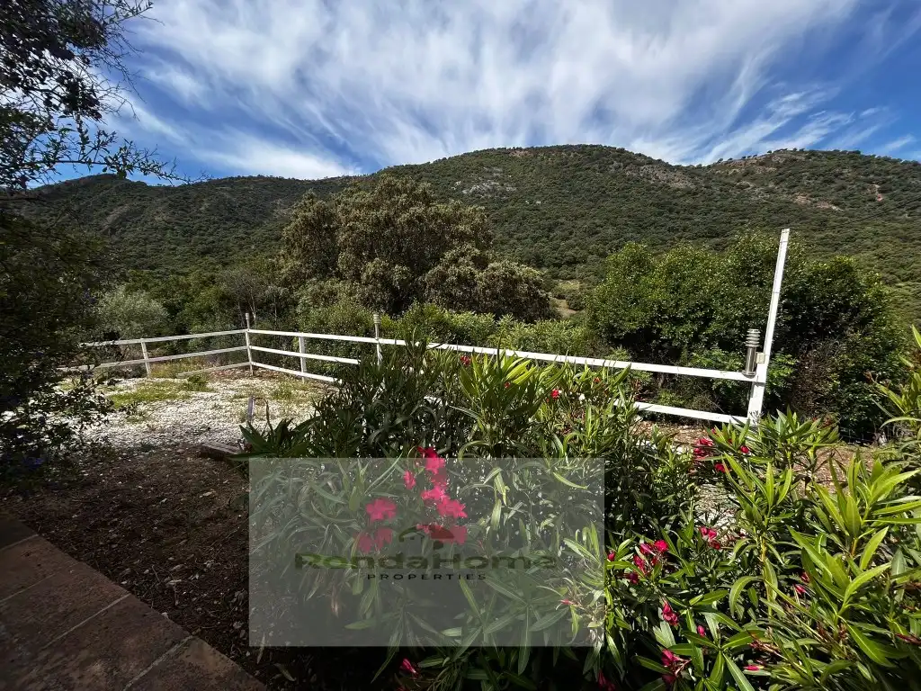 Jardí de Finca rústica en venda en Ronda amb Piscina