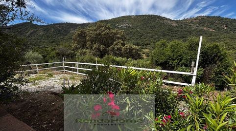 Foto 4 de Finca rústica en venda a Partida Sijuela, Partidas Sur, Ronda