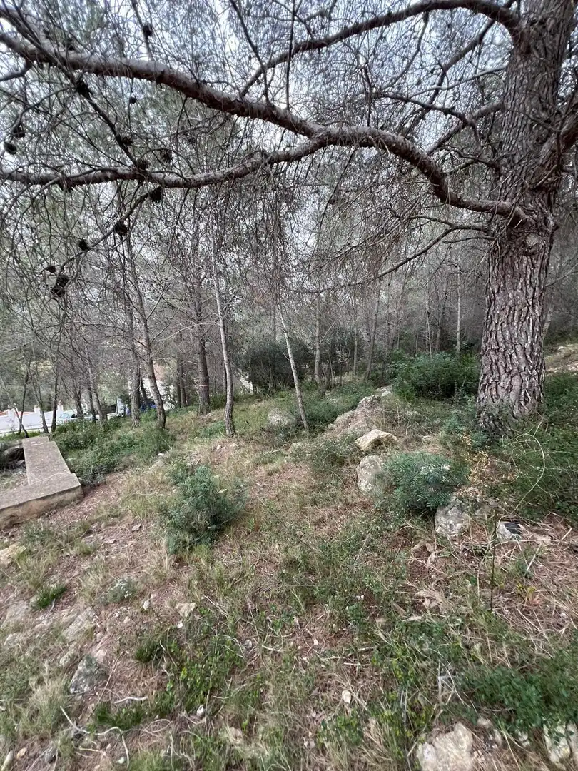 Residential land for sale in Avenida de Can Gordei 113, imagen 19