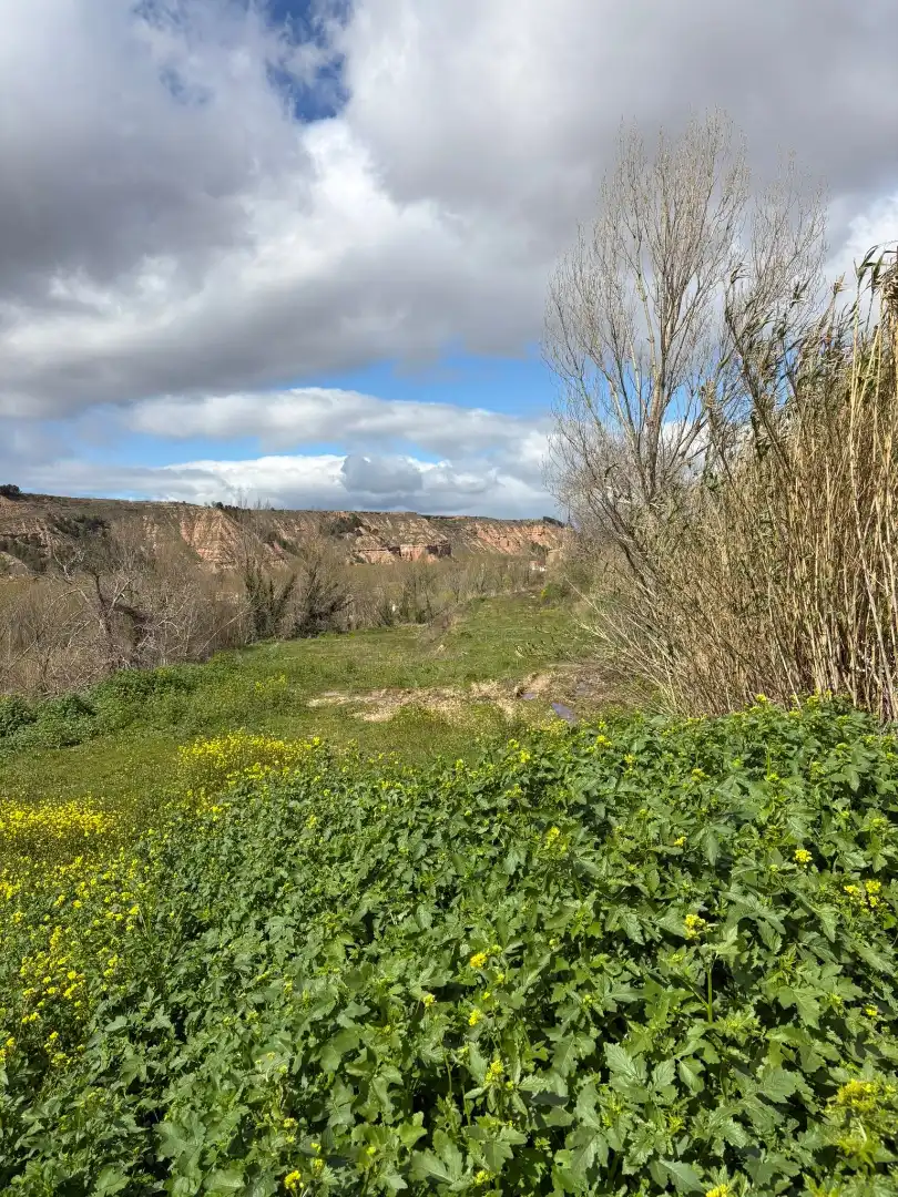 Terreny rústic en venda a Murillo de Río Leza, imagen 5