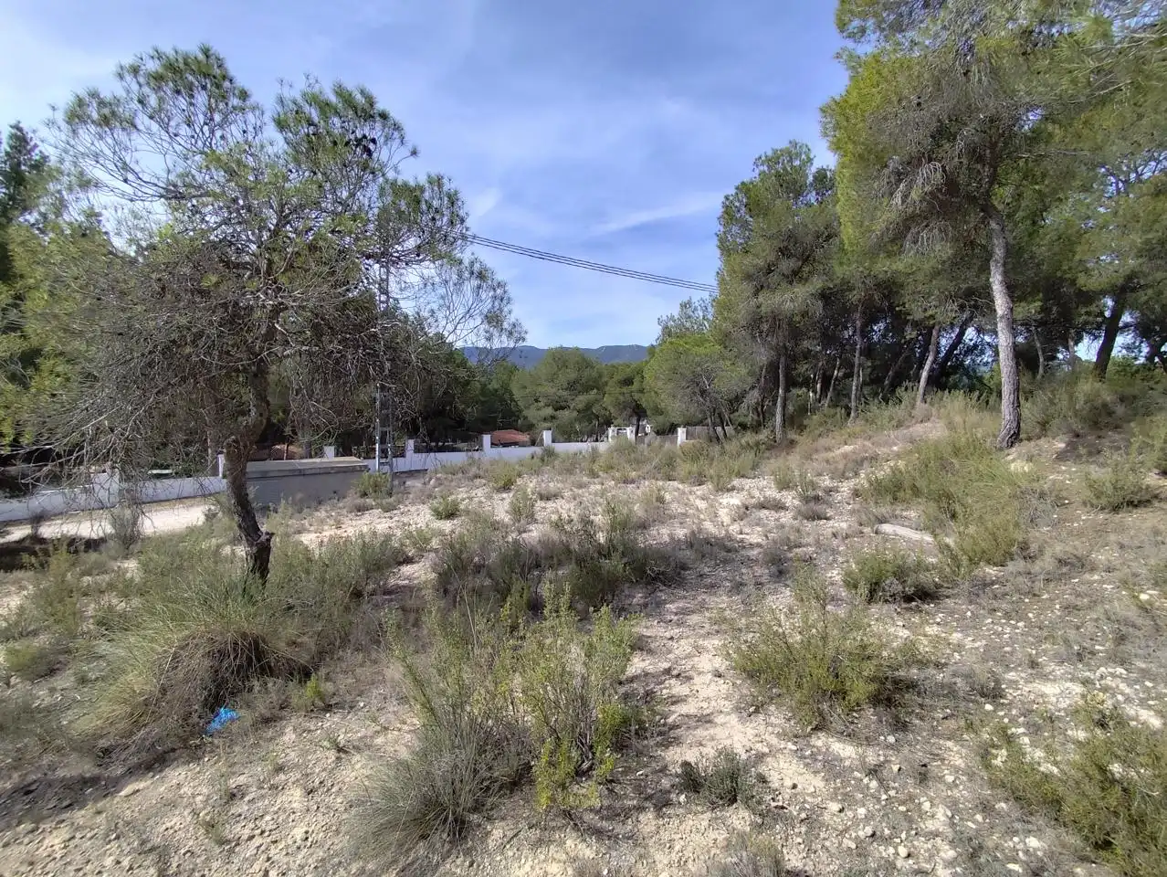 Terrenys i solars en venda a Tibi, imagen 4