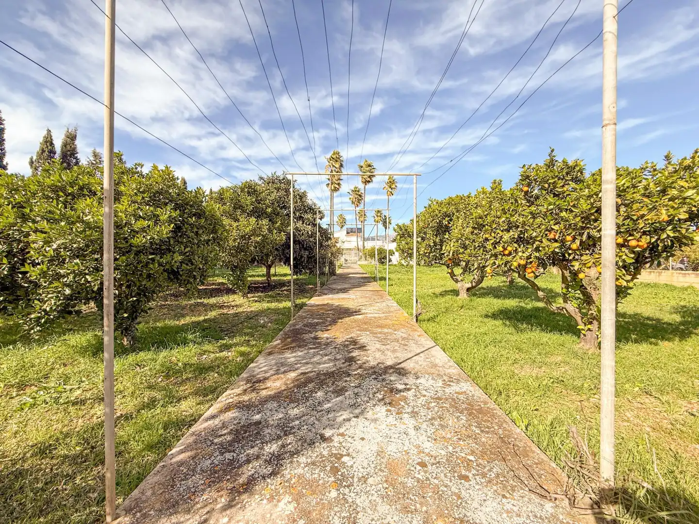 Land for sale in Inca