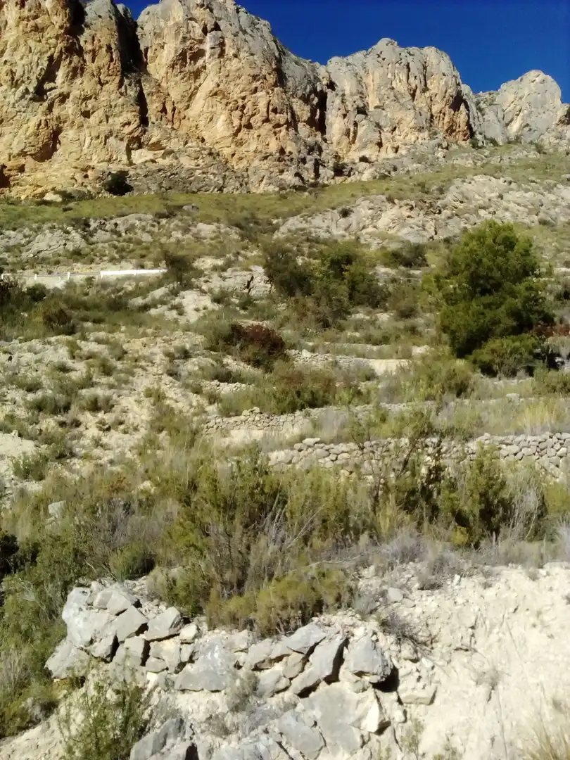 Terreny rústic en venda a Polígono 6 Parcela 92 BARRANC ROIG. ORXETA, imagen 6