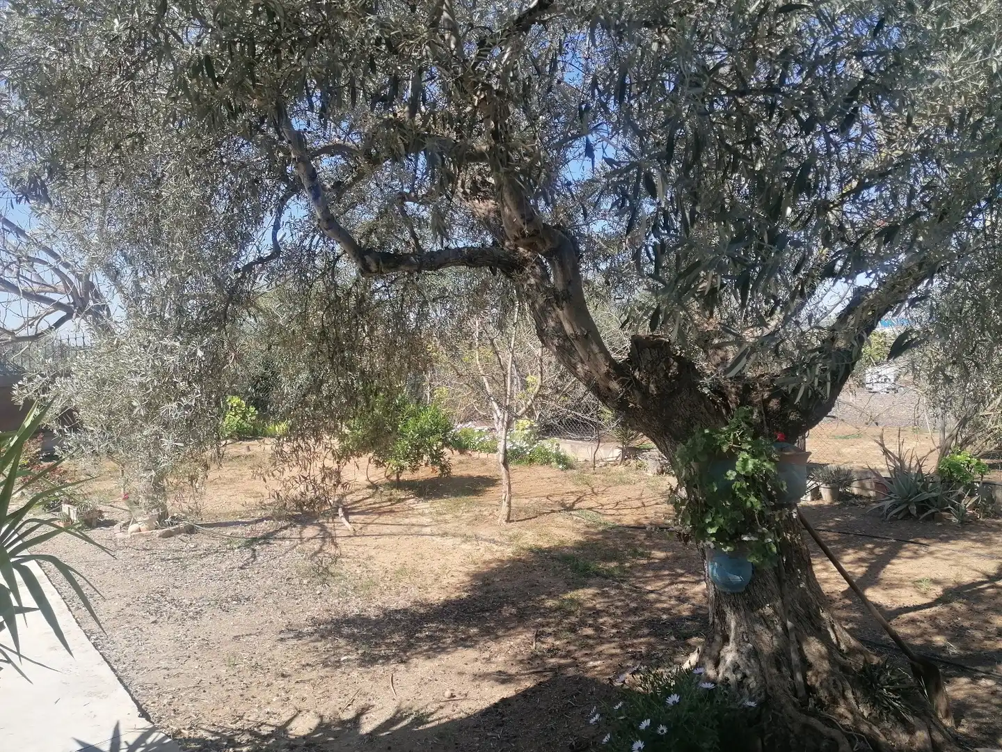 Chalet con jardín en venta en La Carlota, imagen 2