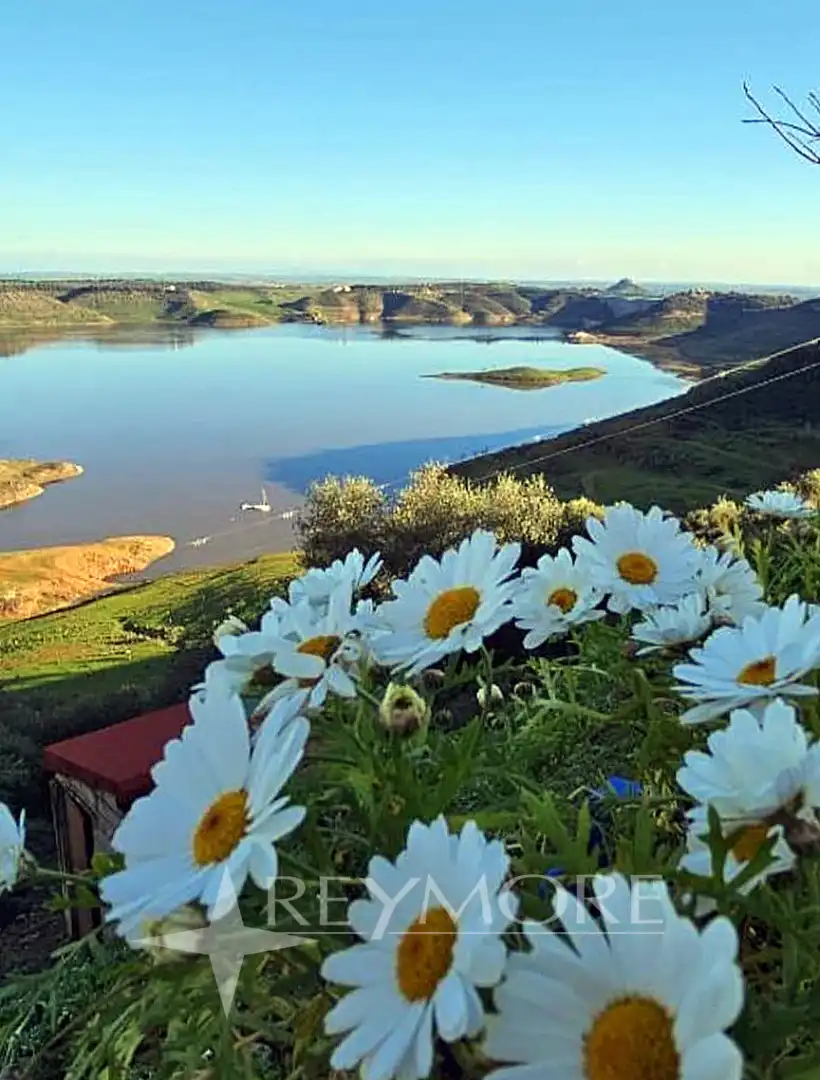 Jardín de Casa o chalet en venta en Almodóvar del Río con Aire acondicionado, Calefacción y Jardín privado