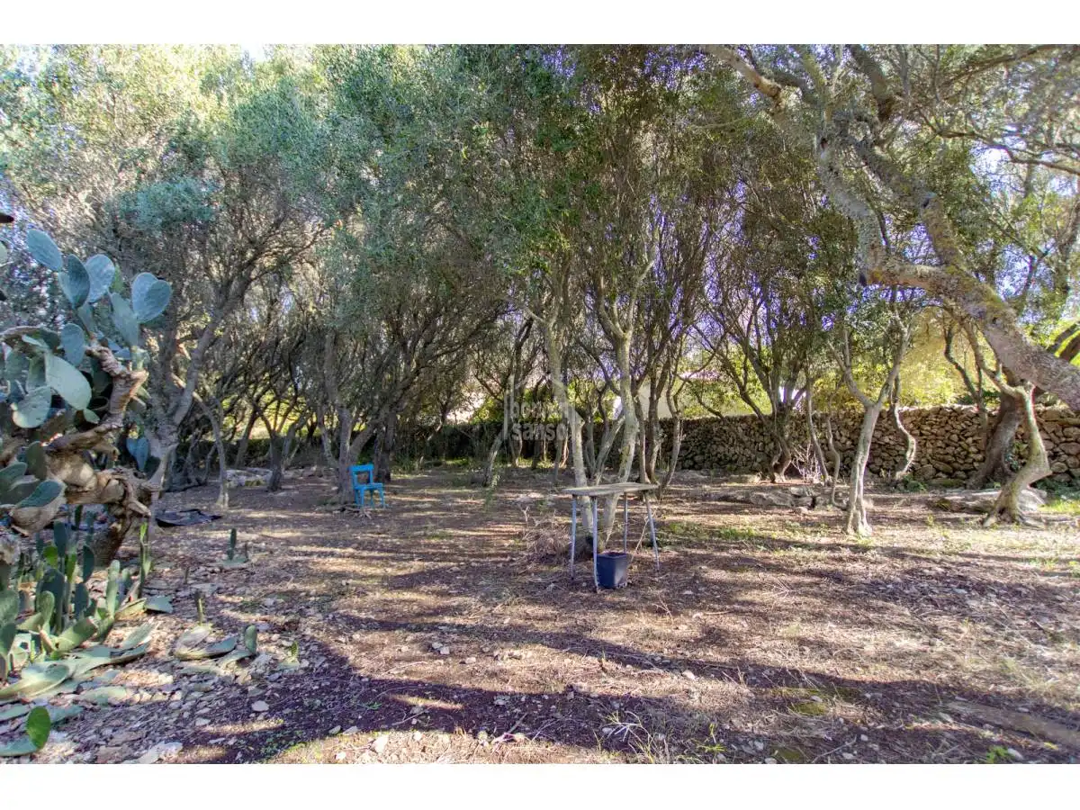 Casa rustica con giardino in vendita a Sant Lluís - S'Ullestrar - Torret, imagen 34