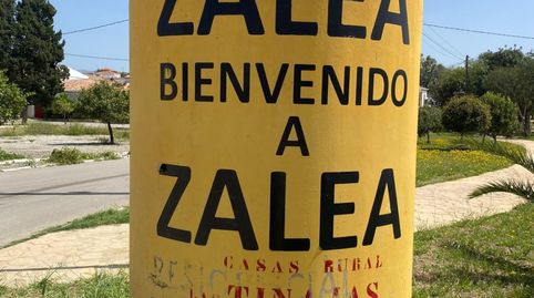 Ref A153 Terreno rustico de regadío en Zalea, immagine 2