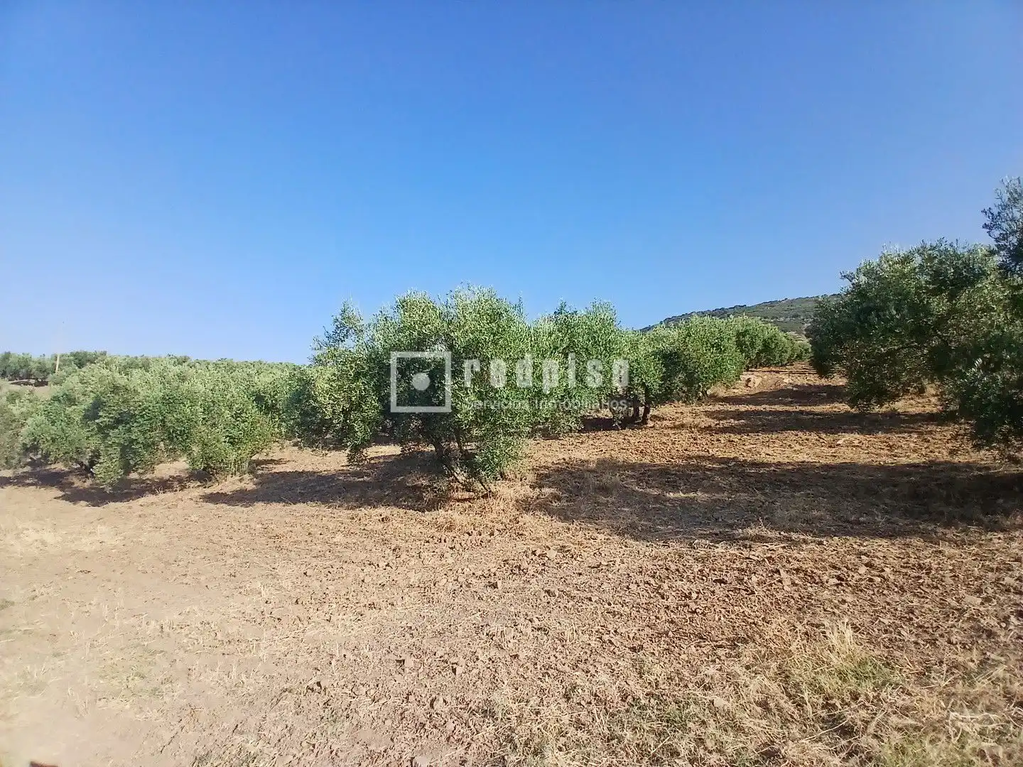 Terrenys i solars en venda a Diseminado, imagen 5