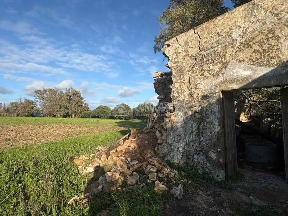 Terrain rustique à vendre à Vejer, imagen 10