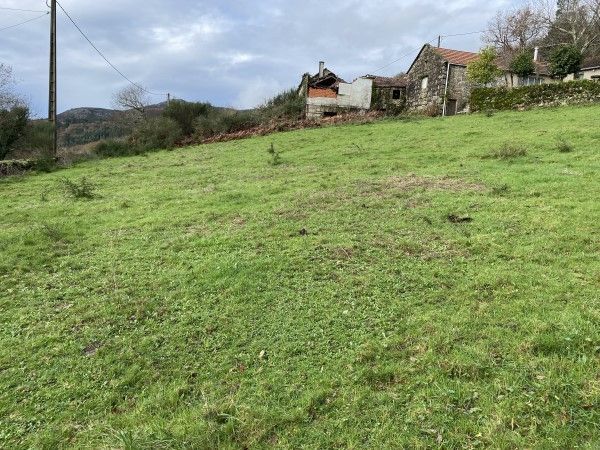 Casa o xalet en venda en Covelo amb Jardí privat