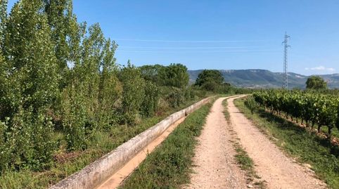 FINCA RÚSTICA - ENTRENA (), immagine 5