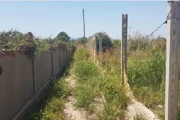 Rural land for sale in Sueca ciudad