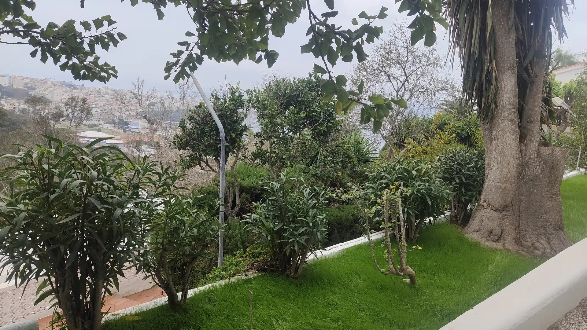Jardín de Casa o chalet en venta en Ceuta con Jardín privado, Trastero y Piscina