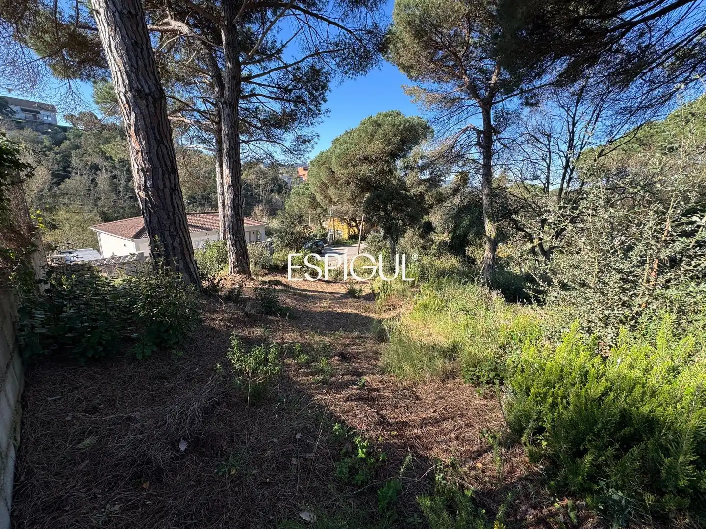 Terreno rústico en venta en Arboç, imagen 2